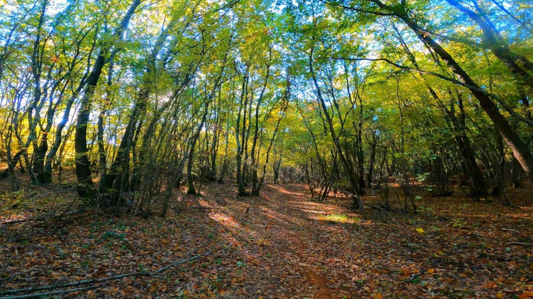 Sonnengarten Floor 2 Marčana Exteriér fotografie